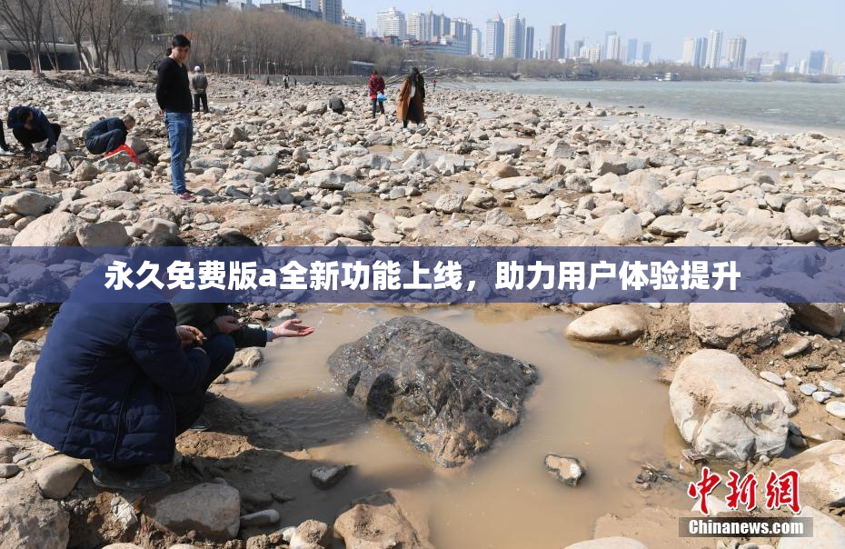 永久免费版a全新功能上线，助力用户体验提升