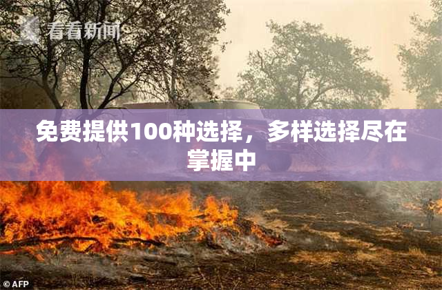 免费提供100种选择，多样选择尽在掌握中