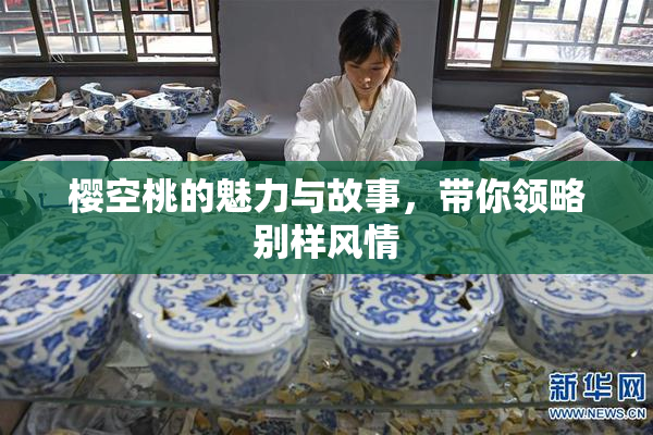 樱空桃的魅力与故事，带你领略别样风情