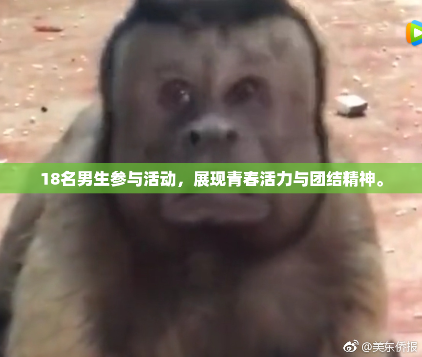 18名男生参与活动，展现青春活力与团结精神。