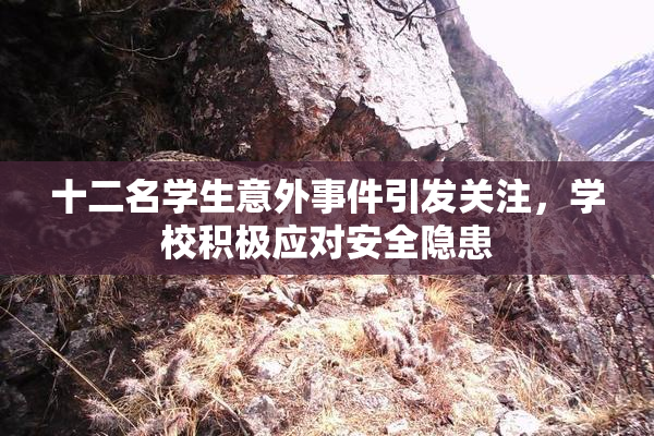 十二名学生意外事件引发关注，学校积极应对安全隐患