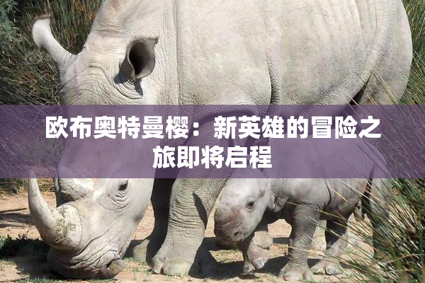欧布奥特曼樱：新英雄的冒险之旅即将启程