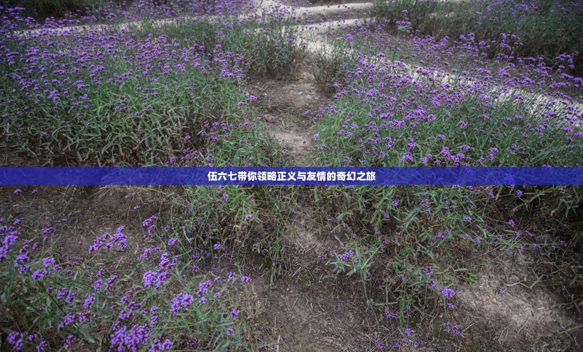 伍六七带你领略正义与友情的奇幻之旅