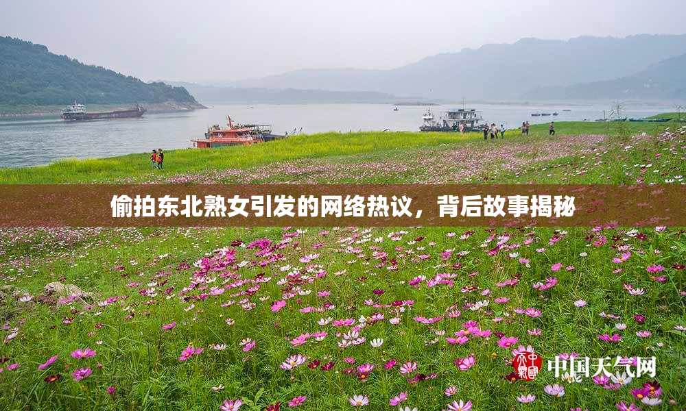 偷拍东北熟女引发的网络热议，背后故事揭秘