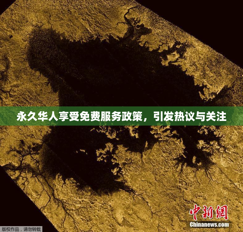 永久华人享受免费服务政策，引发热议与关注