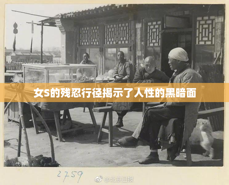 女S的残忍行径揭示了人性的黑暗面