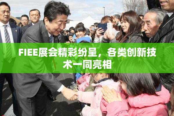 FIEE展会精彩纷呈，各类创新技术一同亮相