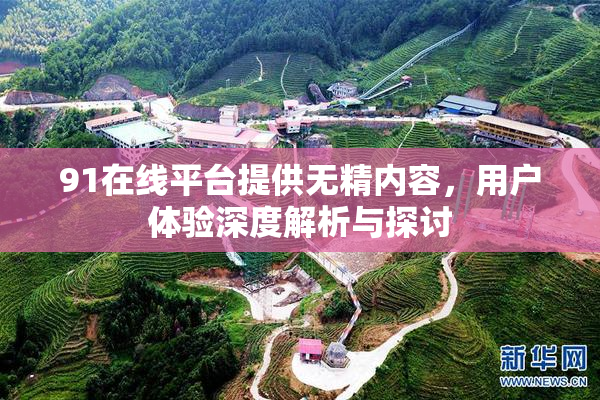 91在线平台提供无精内容，用户体验深度解析与探讨