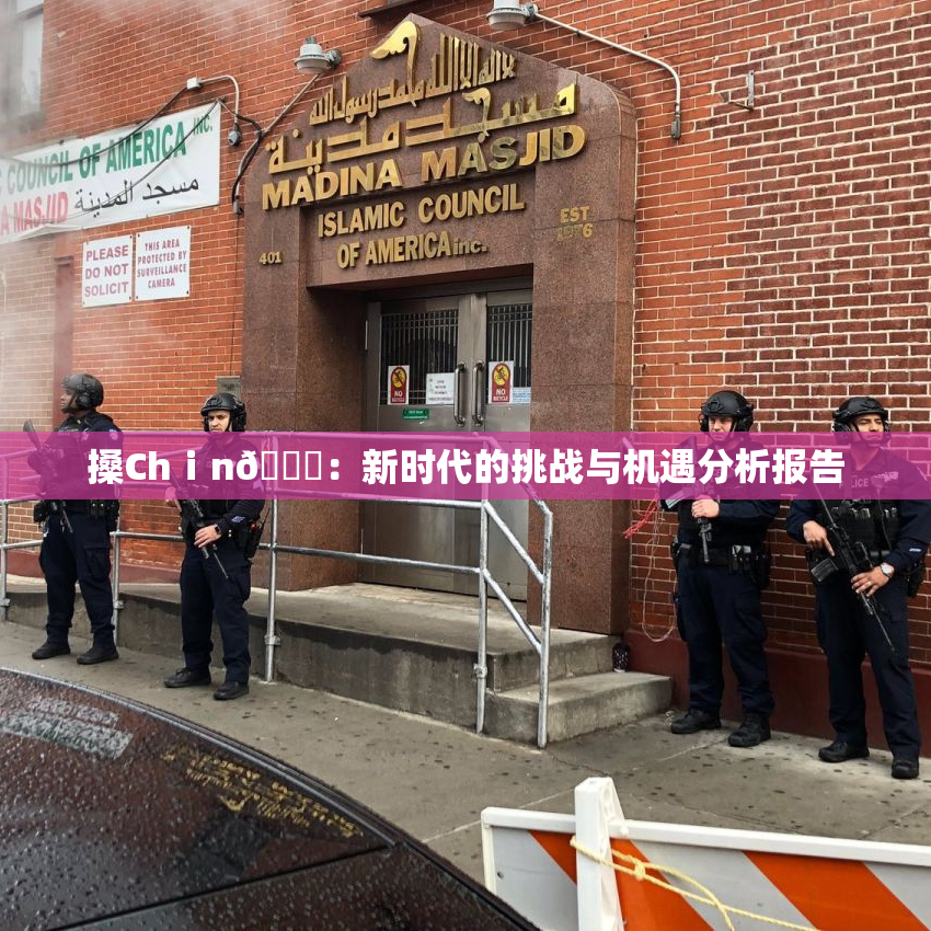 搡Chⅰn🈚：新时代的挑战与机遇分析报告