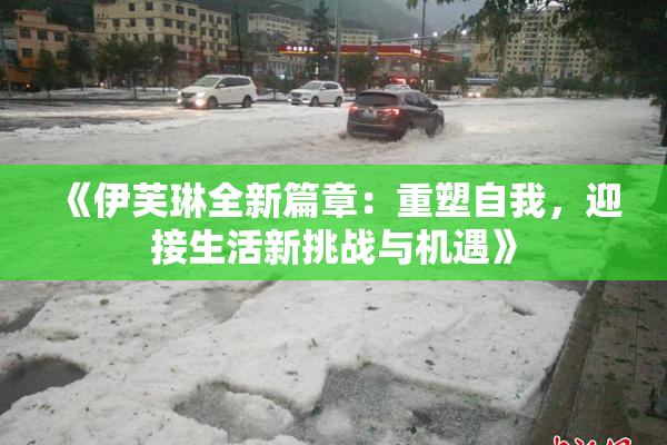《伊芙琳全新篇章：重塑自我，迎接生活新挑战与机遇》