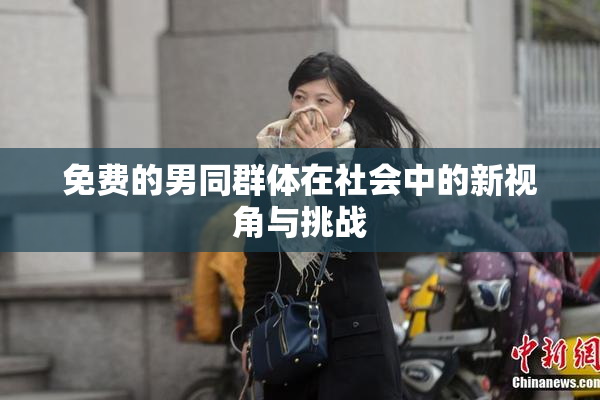 免费的男同群体在社会中的新视角与挑战