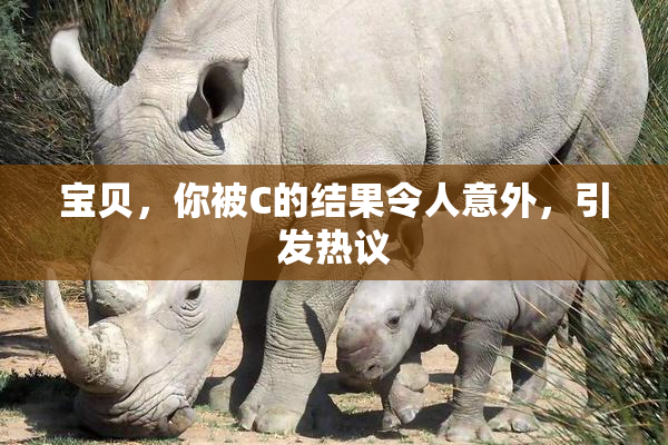 宝贝，你被C的结果令人意外，引发热议