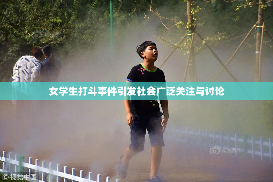 女学生打斗事件引发社会广泛关注与讨论