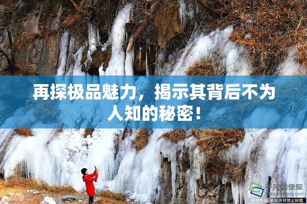 再探极品魅力，揭示其背后不为人知的秘密！