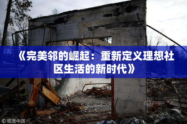 《完美邻的崛起：重新定义理想社区生活的新时代》