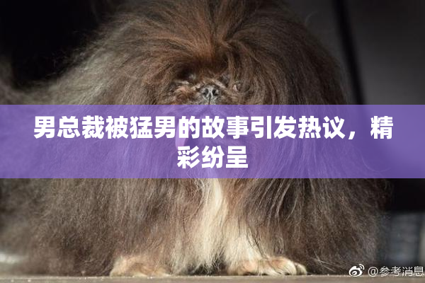 男总裁被猛男的故事引发热议，精彩纷呈