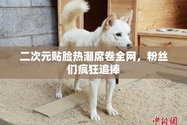 二次元贴脸热潮席卷全网，粉丝们疯狂追捧