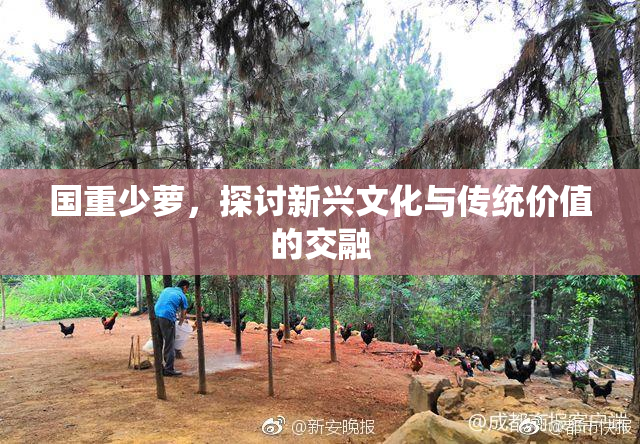 国重少萝，探讨新兴文化与传统价值的交融