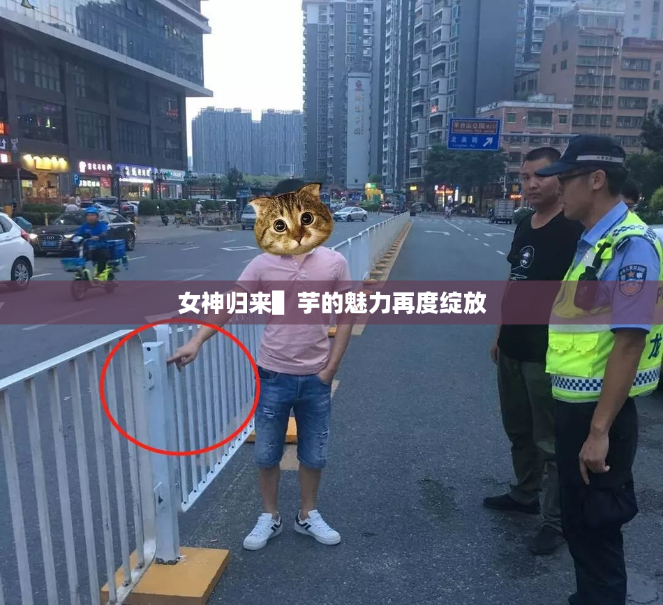 女神归来▌芋的魅力再度绽放