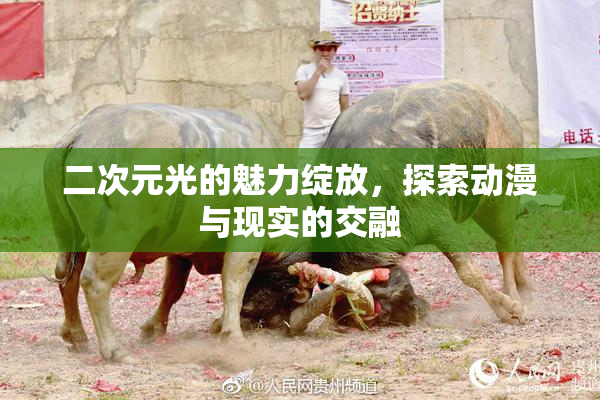 二次元光的魅力绽放，探索动漫与现实的交融