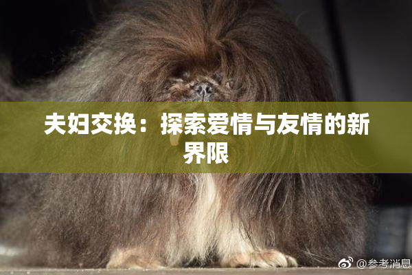 夫妇交换：探索爱情与友情的新界限