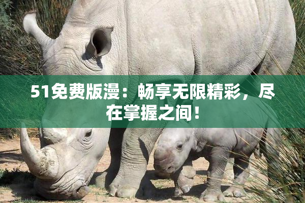 51免费版漫：畅享无限精彩，尽在掌握之间！