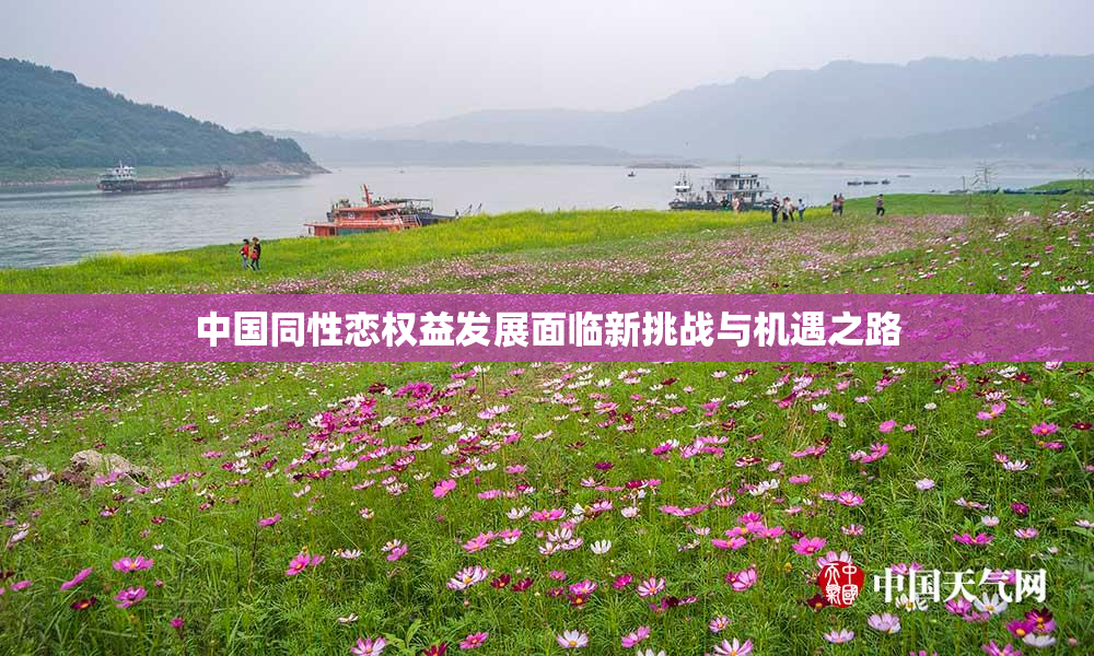 中国同性恋权益发展面临新挑战与机遇之路