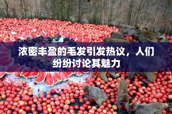浓密丰盈的毛发引发热议，人们纷纷讨论其魅力