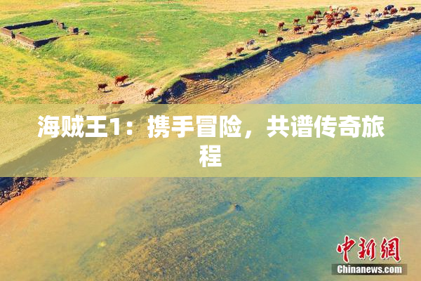 海贼王1：携手冒险，共谱传奇旅程