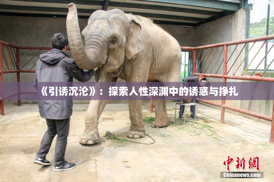 《引诱沉沦》：探索人性深渊中的诱惑与挣扎