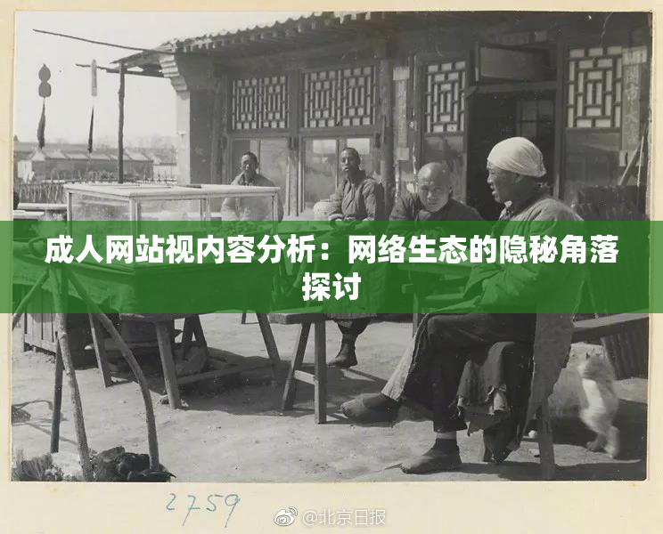 成人网站视内容分析：网络生态的隐秘角落探讨
