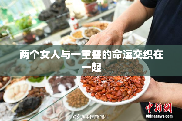 两个女人与一重叠的命运交织在一起