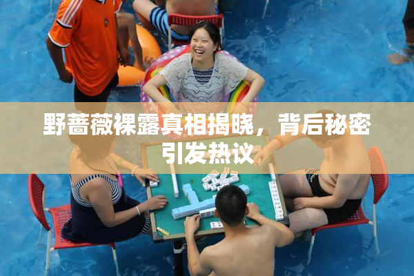 野蔷薇裸露真相揭晓，背后秘密引发热议