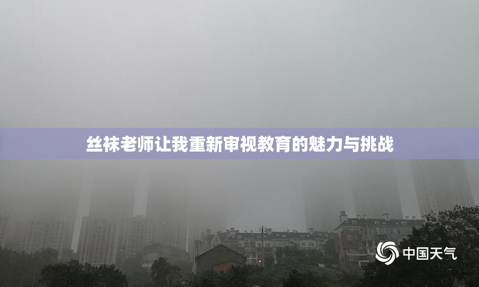 丝袜老师让我重新审视教育的魅力与挑战