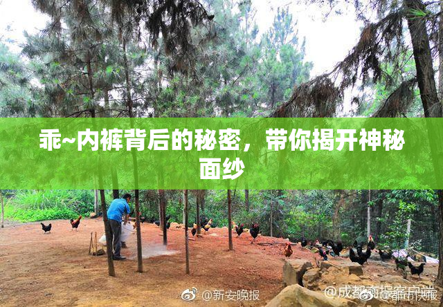 乖~内裤背后的秘密，带你揭开神秘面纱