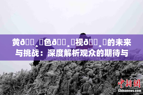 黄🌸‌色🌸‌视🌸‌的未来与挑战：深度解析观众的期待与需求