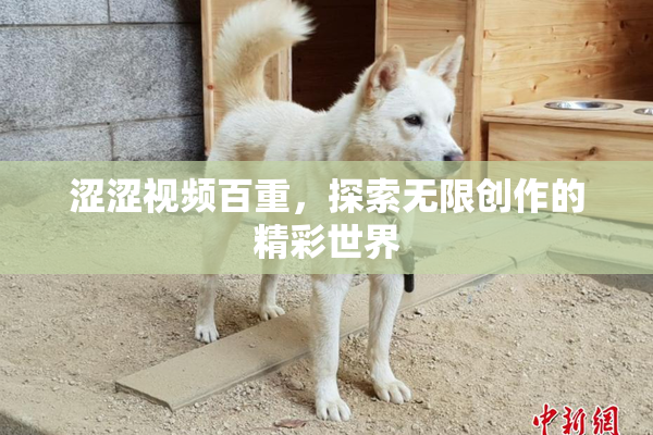 涩涩视频百重，探索无限创作的精彩世界