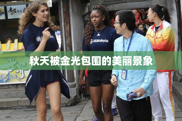 秋天被金光包围的美丽景象