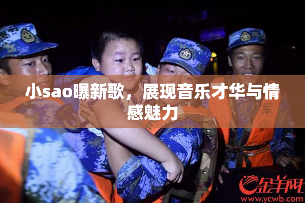 小sao曝新歌，展现音乐才华与情感魅力