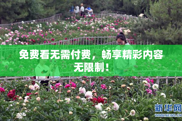 免费看无需付费，畅享精彩内容无限制！