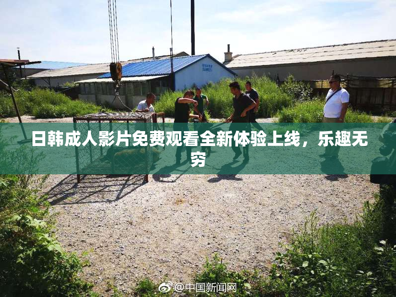 日韩成人影片免费观看全新体验上线，乐趣无穷