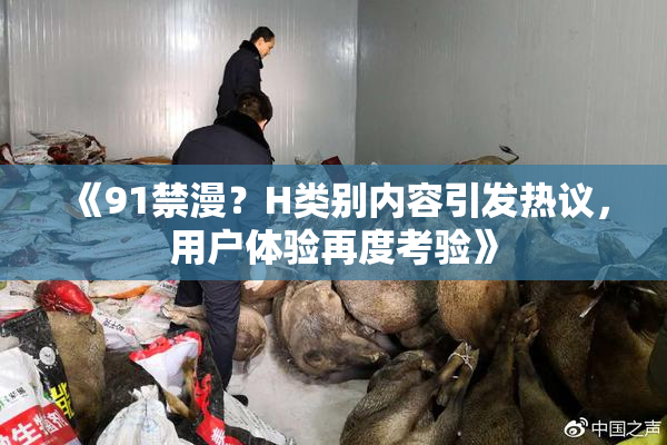 《91禁漫？H类别内容引发热议，用户体验再度考验》