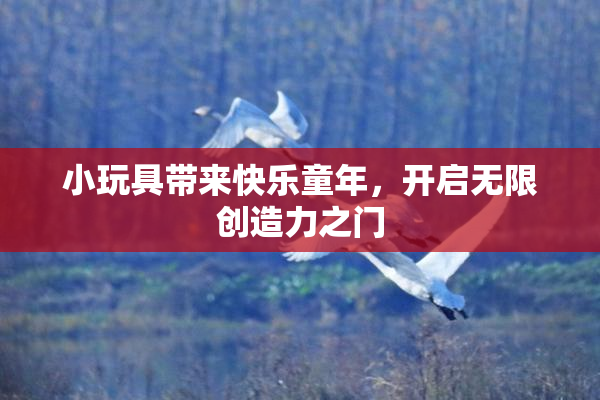 小玩具带来快乐童年，开启无限创造力之门
