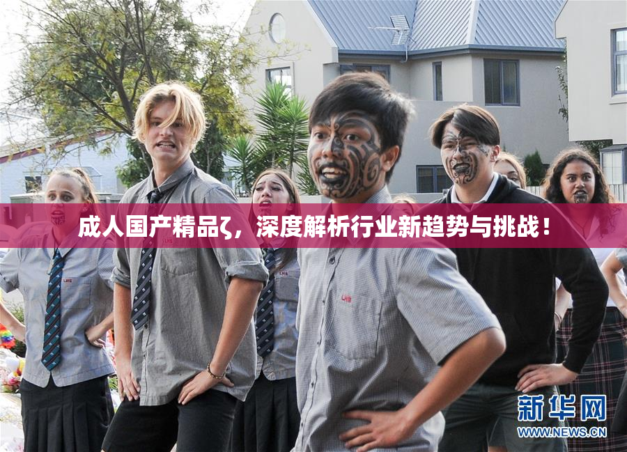 成人国产精品ζ，深度解析行业新趋势与挑战！