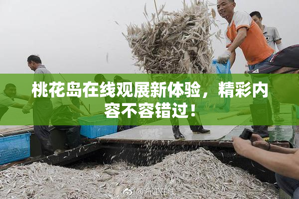 桃花岛在线观展新体验，精彩内容不容错过！