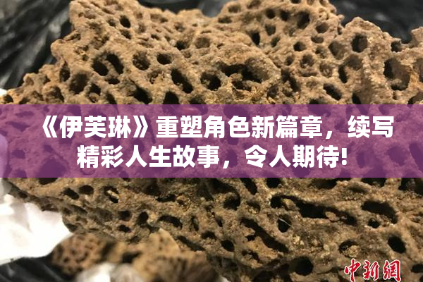 《伊芙琳》重塑角色新篇章，续写精彩人生故事，令人期待!