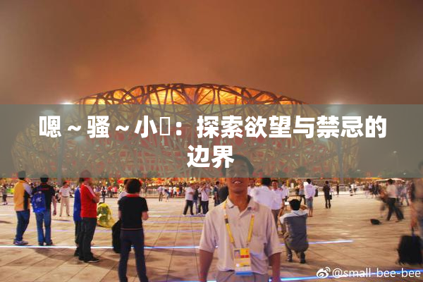嗯～骚～小婬：探索欲望与禁忌的边界