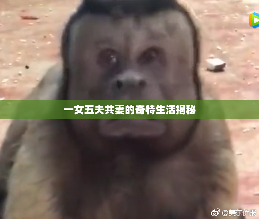 一女五夫共妻的奇特生活揭秘