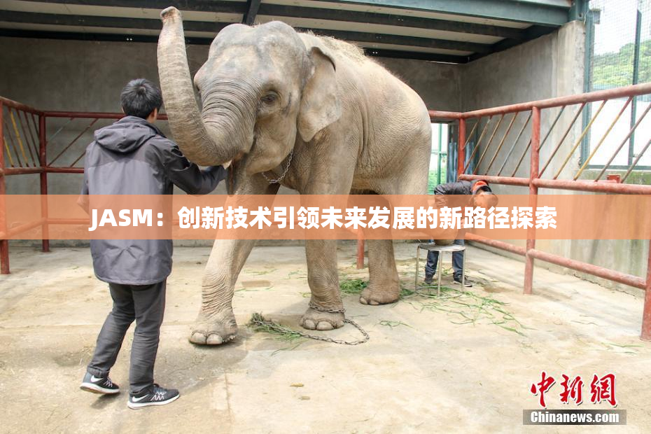 JASM：创新技术引领未来发展的新路径探索