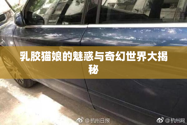 乳胶猫娘的魅惑与奇幻世界大揭秘